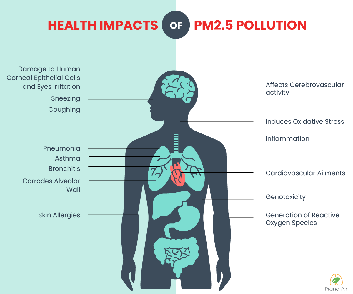 health impacts of pm2.5