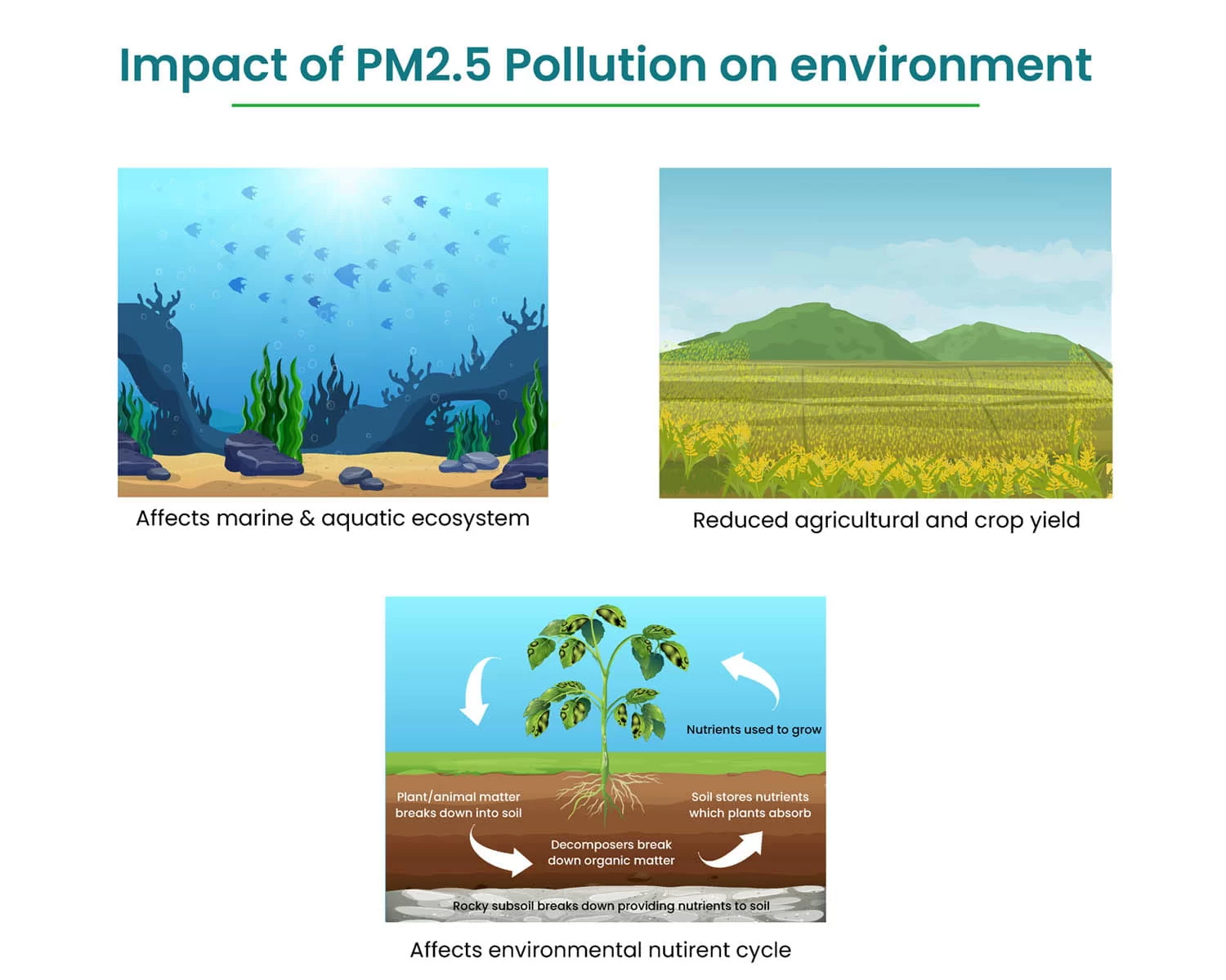impact of PM2.5 on environment