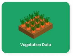 vegetation data