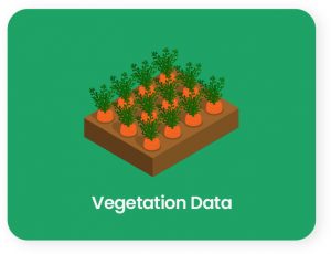 vegetation data