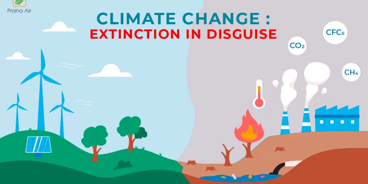 Climate Change: Extinction in Disguise | Its Causes & Effects