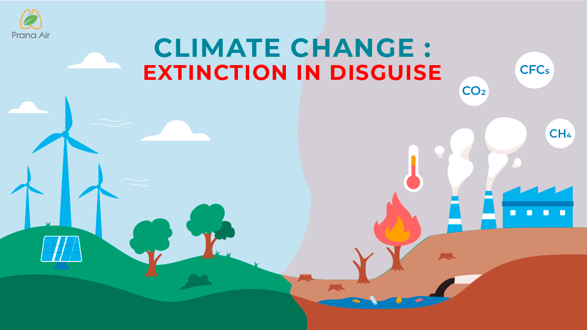 climate change and its causes and effects