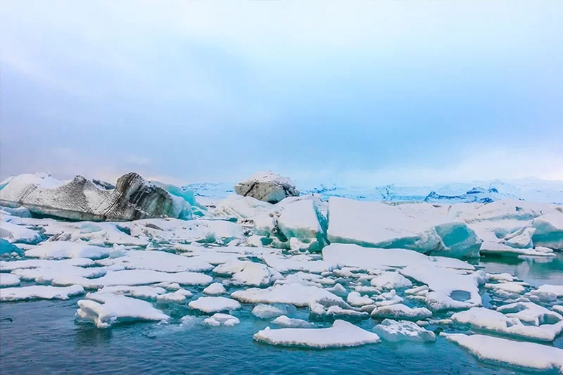 effect of climate change on declining arctic sea