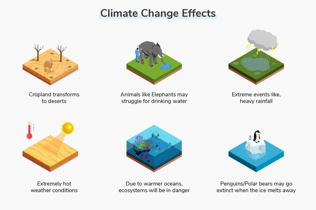 effects of climate change