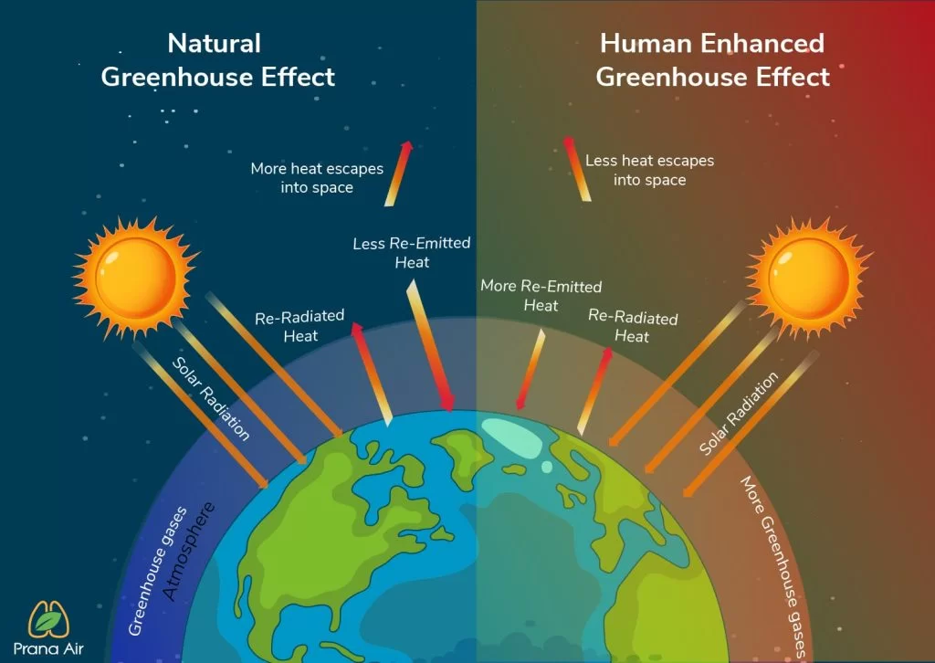 greenhouse effect caused by natural and human activities