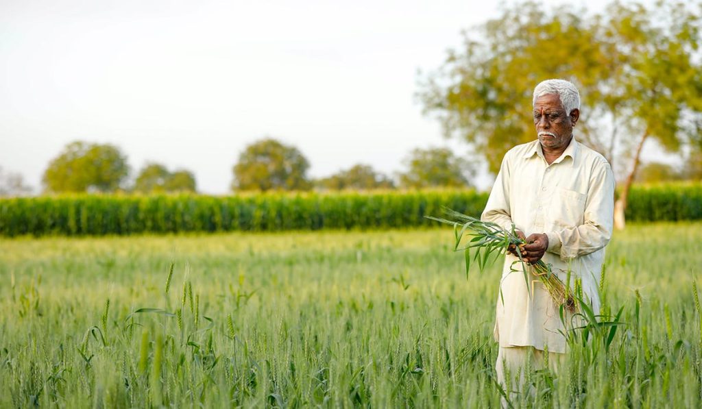 indian farmers doing farming