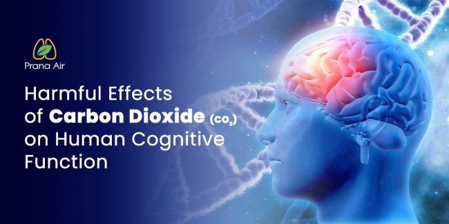 Harmful Effects of Carbon Dioxide (CO2) on Human Cognitive Function