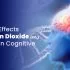 Harmful Effects of Carbon Dioxide (CO2) on Human Cognitive Function