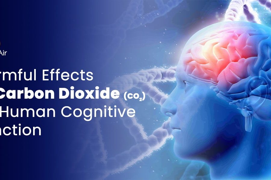 Harmful Effects of Carbon Dioxide (CO2) on Human Cognitive Function