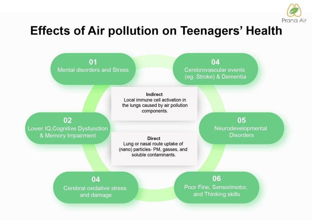 bodily effects of air pollution on teenager's health