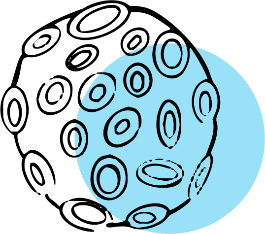 virus and bacteria due to high humidity