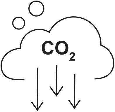 high co2 level
