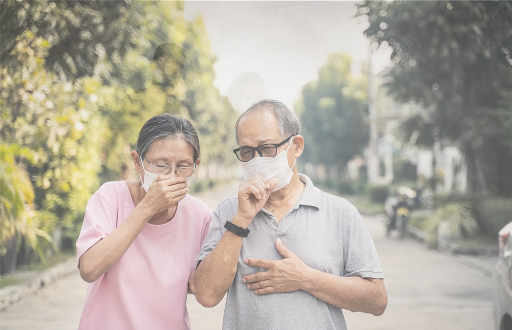 impact of air pollution on age old people