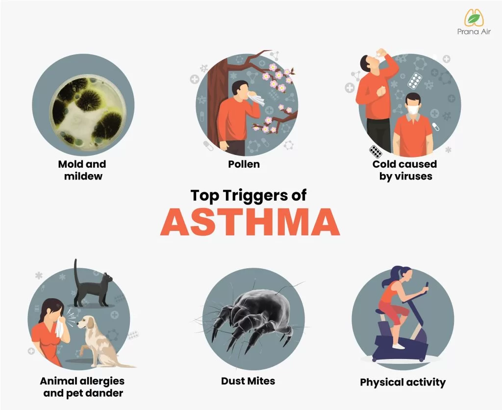 causes or triggers of asthma