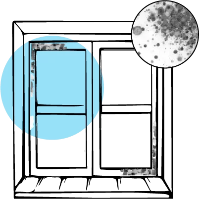 mold and mildew due to high humidity