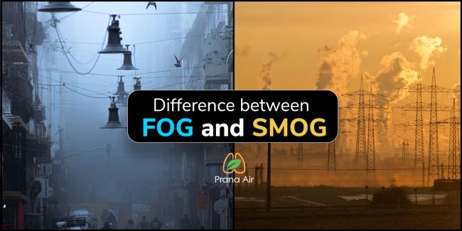 difference between fog and smog