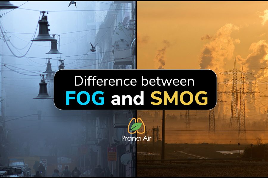 difference between fog and smog