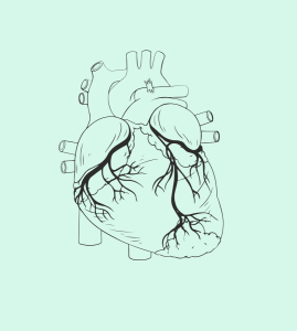 Heart diseases and Heart failure