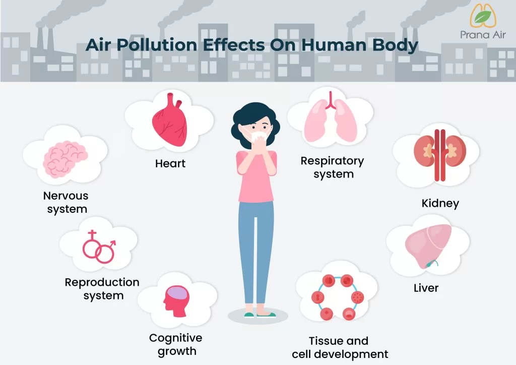 health effects of air pollution