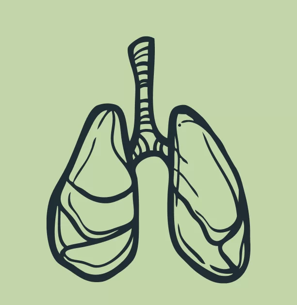 lungs problem due to no2