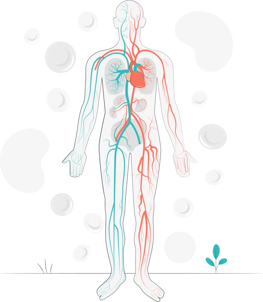 ammonia nh3 in human body