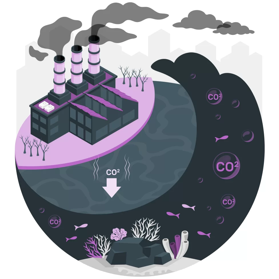 What are CO2 emissions and why are they harmful