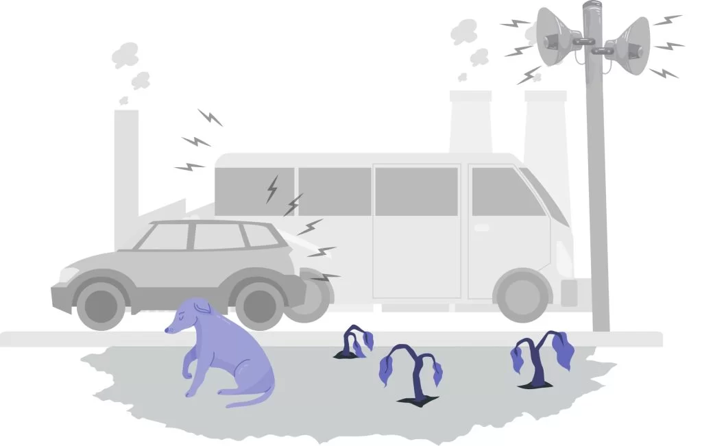 effects of noise pollution on environment