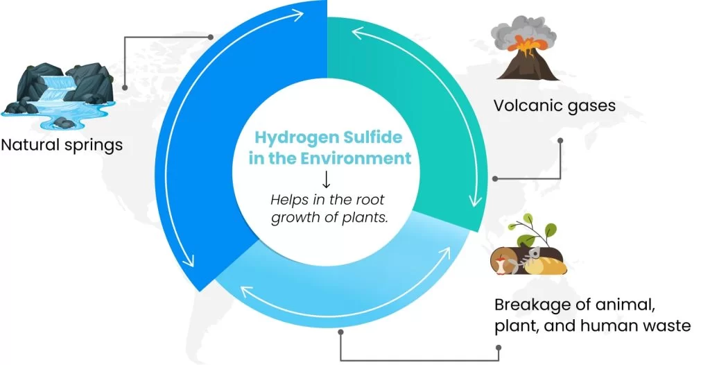 hydrogen sulfide in the environment