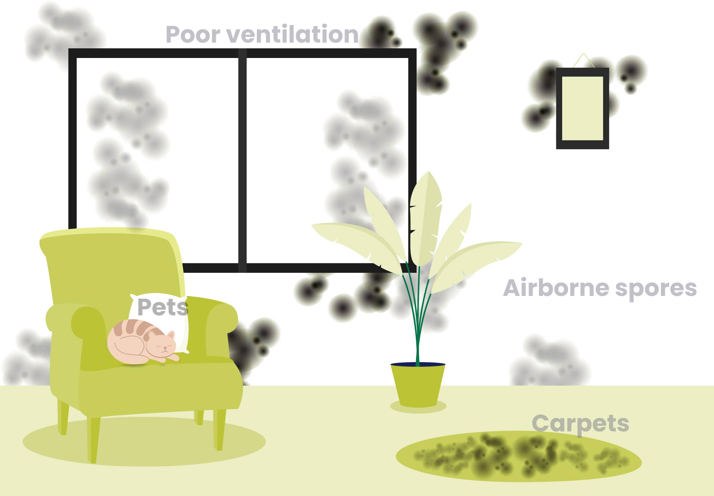 indoor sources of mold