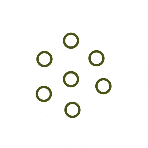 Moisissure : définition et explications