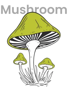 mushroom