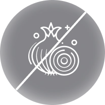 onion icon