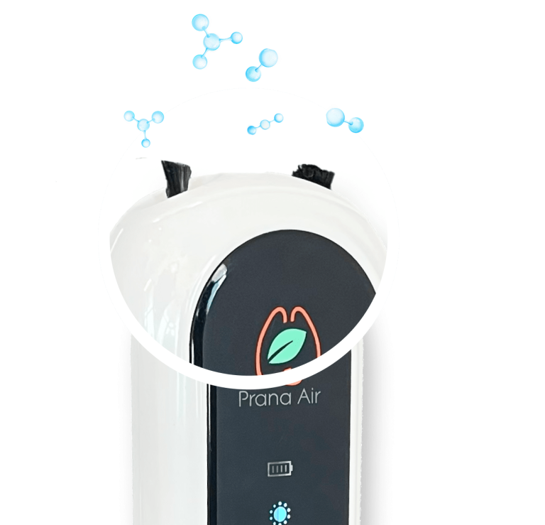 Prana Air Dual Negative Ions Emitters