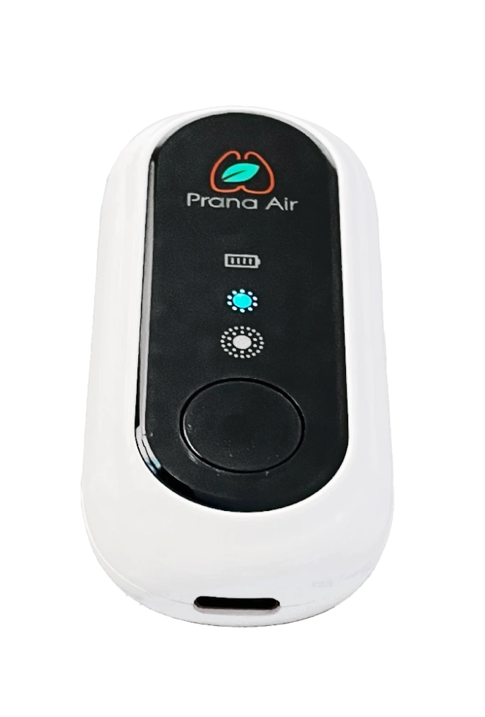 prana air wearable air purifier