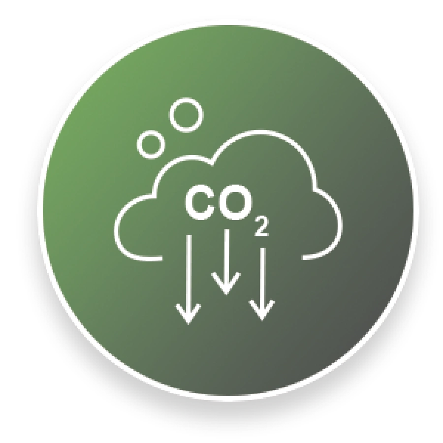 co2 icon