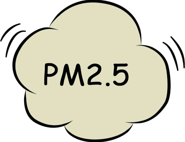 pm2.5 pm2.5