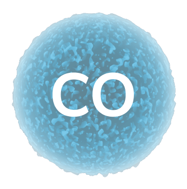 co pollutant in city