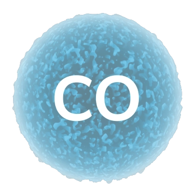 co pollutant in city