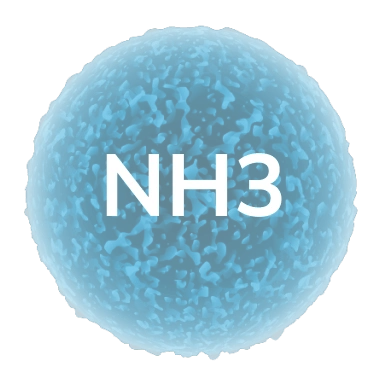 nh3 pollutant in city