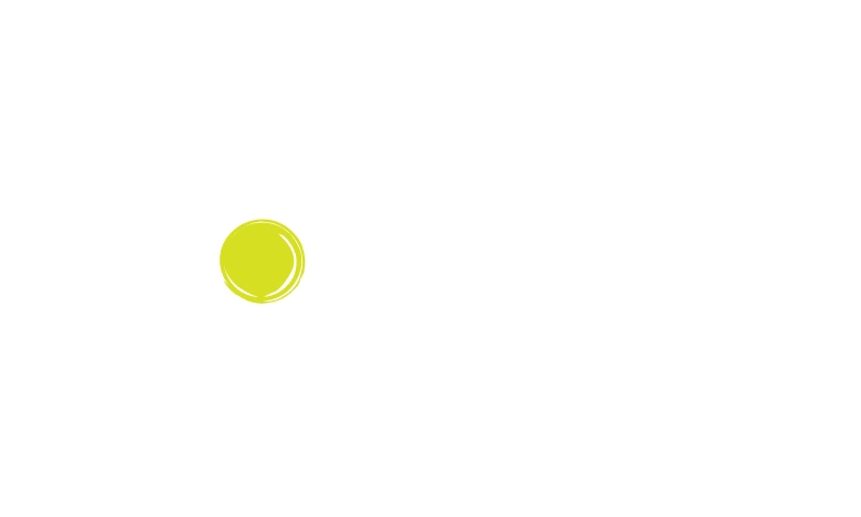 ola company