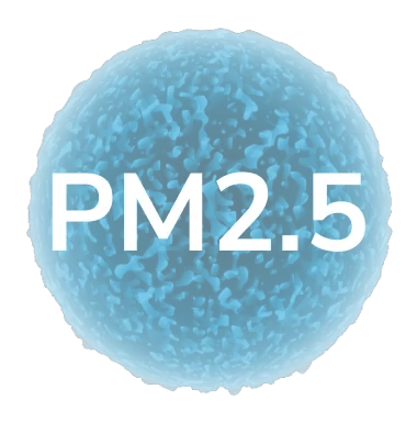 pm2.5 pollutant in city