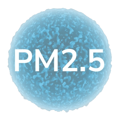 pm2.5 pollutant in city