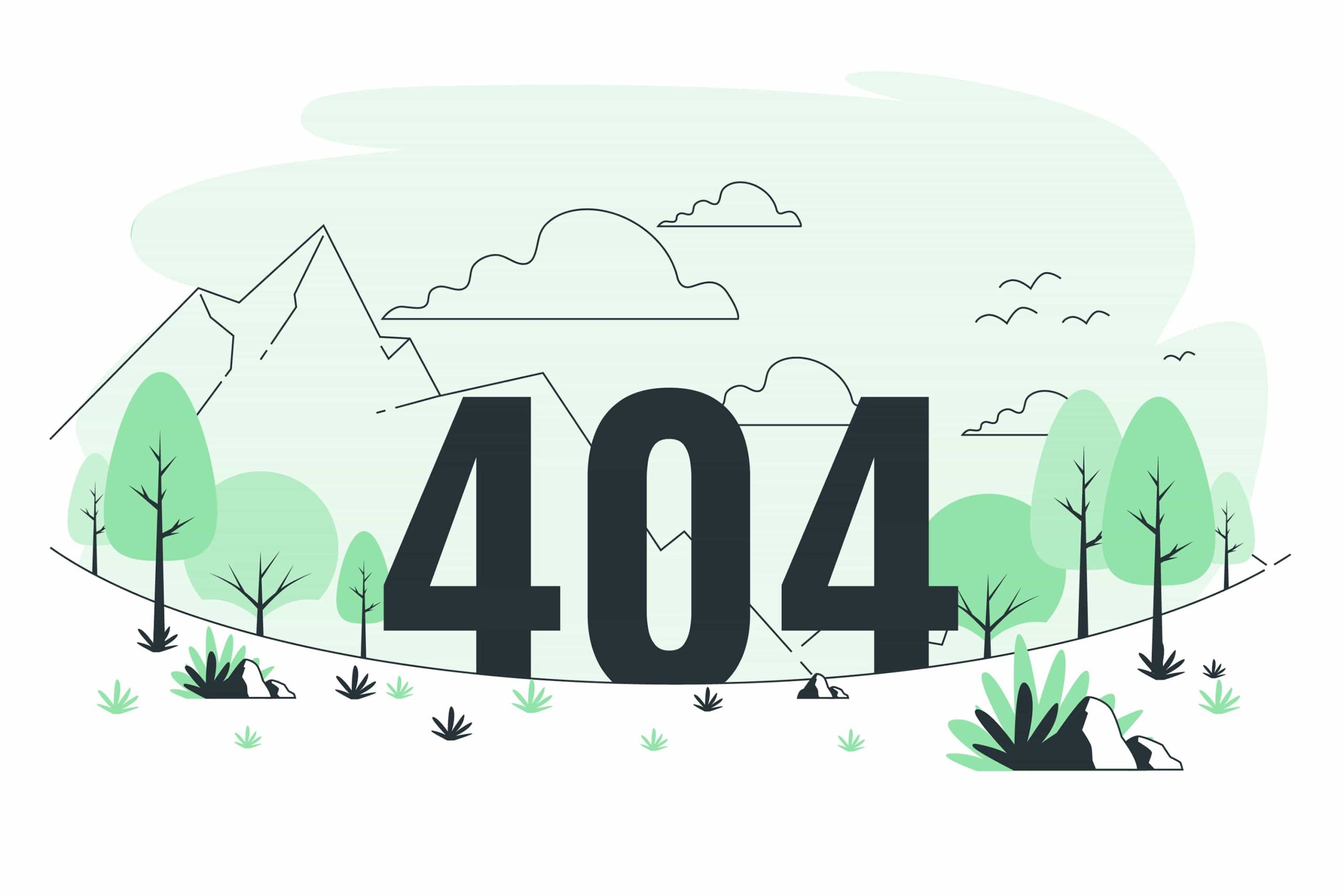 404 page