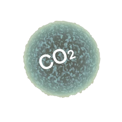 high co2 level