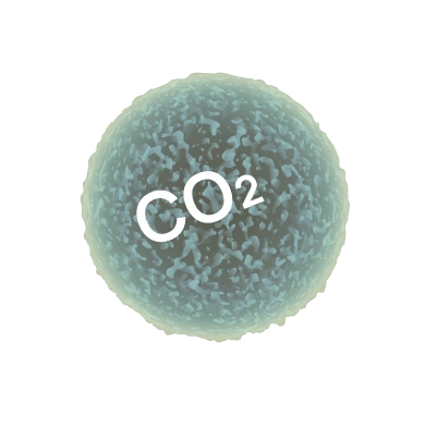 high co2 level