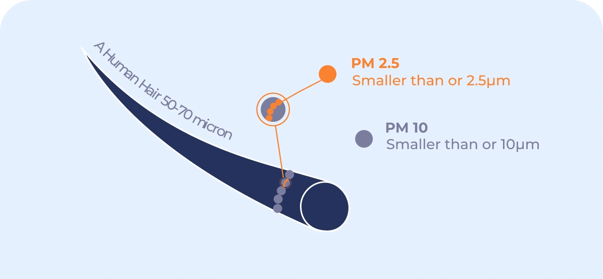 particulate matters