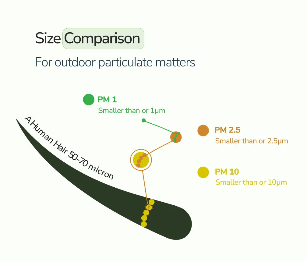 Size comparison of Particulate matter as 1,2.5 and 10 with human hair